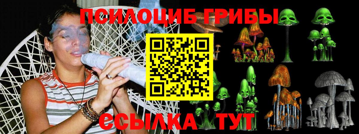 Кандалакша  Галлюциногенные грибы Magic Shrooms  сколько стоит  Вход с VPN 